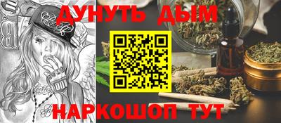 сатива Краснодар