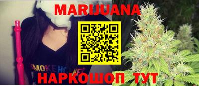 сатива Краснодар